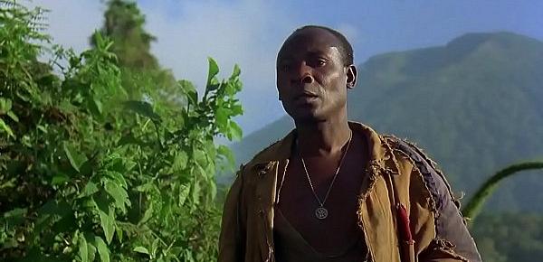  Nas Montanhas dos Gorilas (1988)